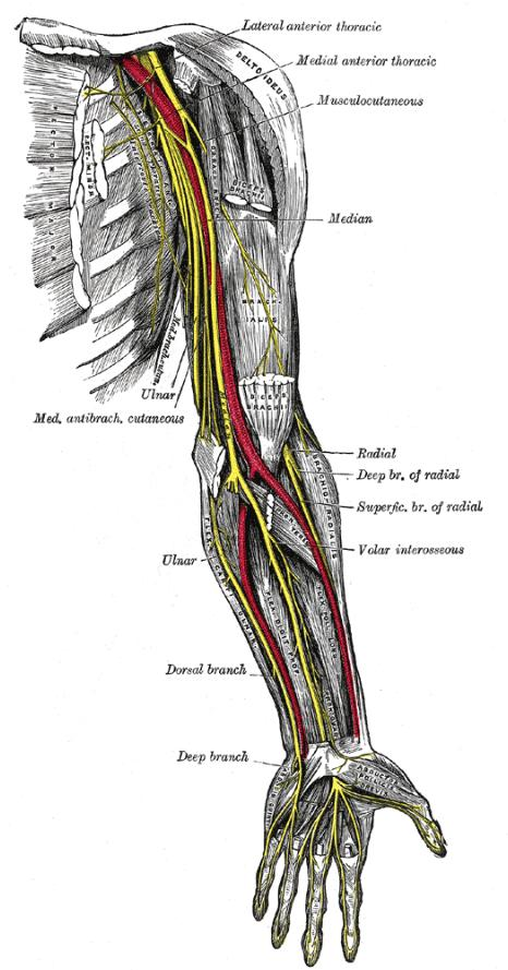 Cambridge Orthopaedics Uk