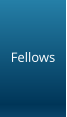 Fellows