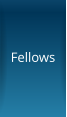 Fellows