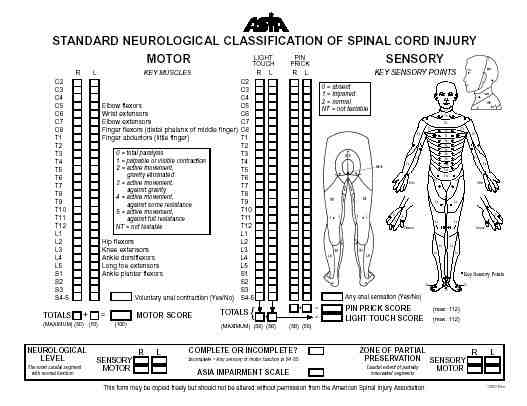 Asia Neurological Chart